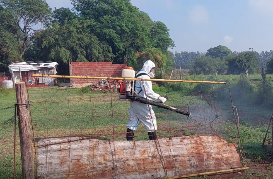 Trabajos de fumigación.