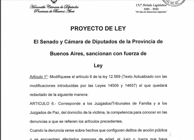 Dentro de la Cámara de Diputados, en la Comisión de Niñez, Adolescencia y Familia, avanzó la ley para proteger a las víctimas de violencia familiar. 