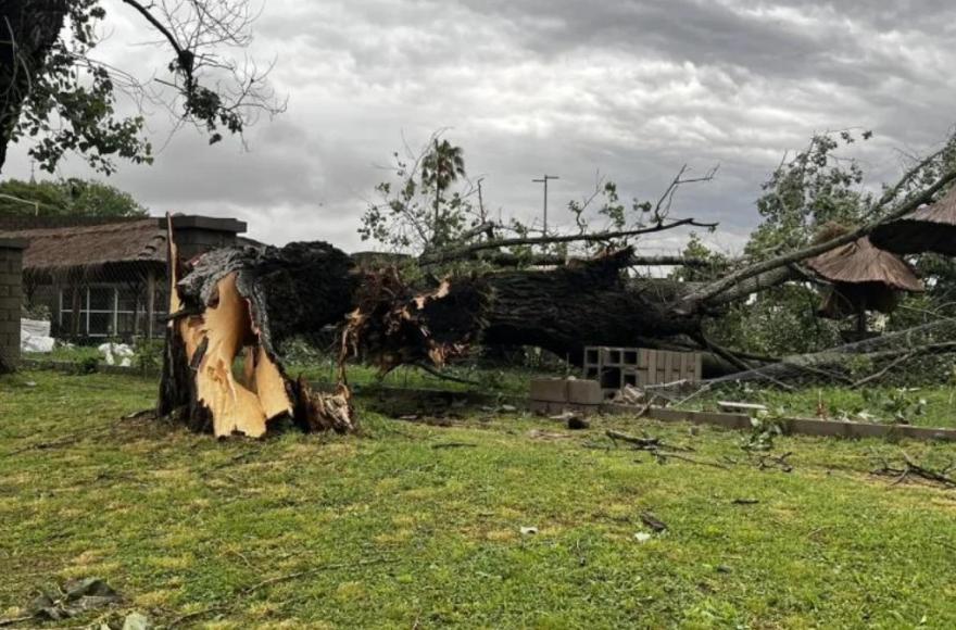 Destrozos que dejó el temporal.