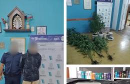 Detienen un joven por el cultivo de plantas de marihuana