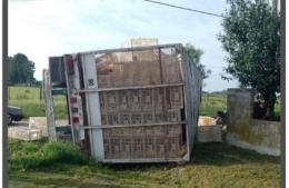 Volcó un camión que transportaba pollos y se robaron parte de la carga