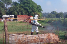 Declaran el “brote epidemiológico” de dengue