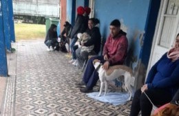 Jornada de castraciones en Villa General Savio