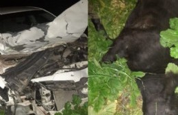 El concejal Adrián Lescano sufrió un accidente en el Camino de la Costa