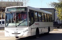 Avanza el nuevo pliego para el servicio de transporte local