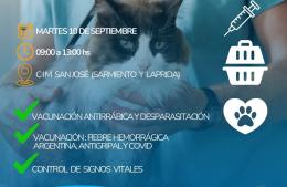 Jornada de Zoonosis y Vacunación: llega la Unidad Sanitaria Móvil