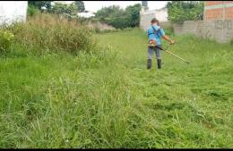 El Juzgado de Faltas advirtió por el estado de abandono de los baldíos