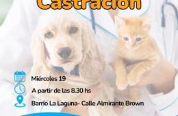 Ramallo: Avanza la campaña municipal de castración en los barrios